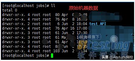 网站备份与恢复