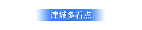 天津网站开发工具使用